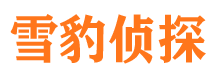 泉山寻人公司